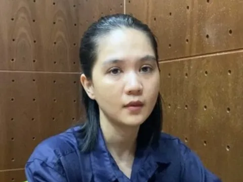 Ngọc Trinh bị truy tố khung hình phạt từ 2-7 năm tù