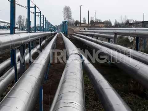 Giá gas hôm nay 15/1/2024: Cập nhật giá gas trong nước và thế giới