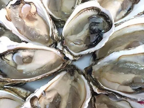 Ngộ độc thực phẩm nghi do ăn hàu, bào ngư nướng