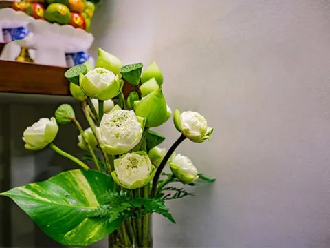 Những loại hoa cúng Rằm tháng Chạp vừa đẹp mắt vừa mang ý nghĩa xin tài lộc, cầu bình an