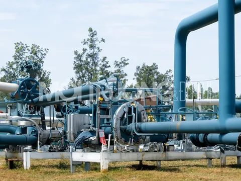 Giá gas hôm nay 25/1/2024: Cập nhật giá gas trong nước và thế giới