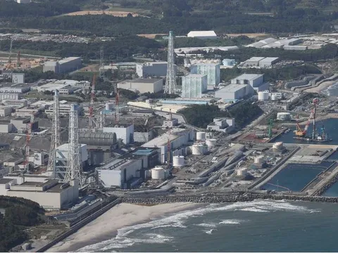 Nhật Bản hoãn thu gom rác thải lẫn nhiên liệu hạt nhân tại nhà máy Fukushima