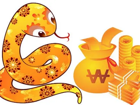 Tử vi tuần mới 29/1-4/2: Tỵ bận rộn nhưng thành quả xứng đáng, Thìn chớ bướng bỉnh