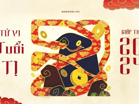 Tử vi tuổi Tỵ năm Giáp Thìn 2024: Bình ổn, ít biến động, duy nhất một phương diện sáng chói