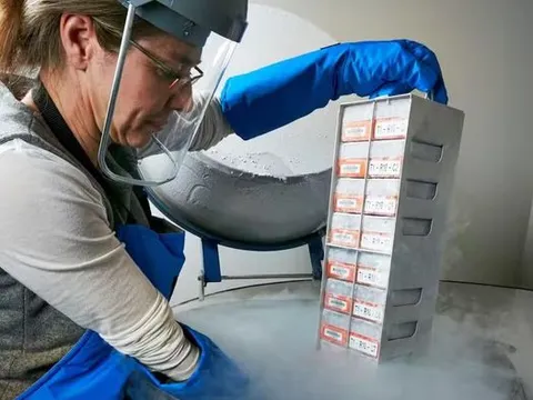 Australia: Ngân hàng sinh học giúp bảo tồn động vật bên bờ vực tuyệt chủng