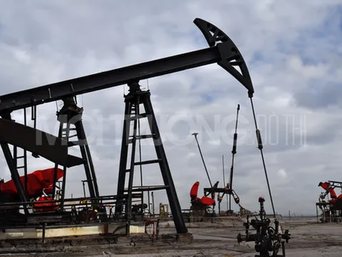 Giá xăng dầu hôm nay 3/2/2024: Cập nhật giá xăng dầu trong nước, quốc tế