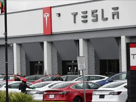 Tesla triệu hồi gần 2,2 triệu xe lỗi đèn cảnh báo