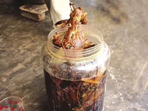 Nhập viện sau uống rượu ngâm củ ấu tẩu ngày cận Tết