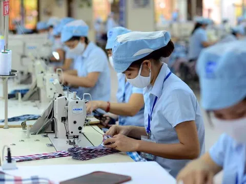 Xử lý thế nào khi doanh nghiệp nợ lương người lao động?