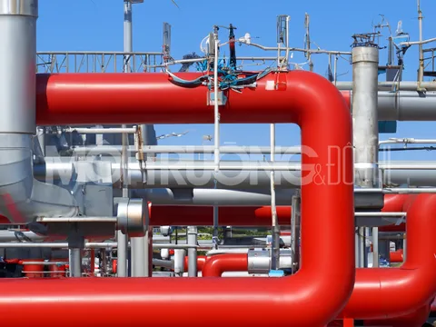Giá gas hôm nay 8/3/2024: Cập nhật giá gas trong nước và thế giới