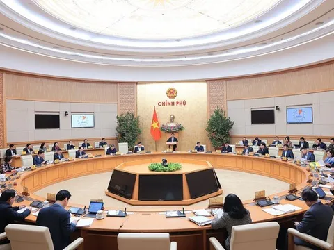 Tiêu chuẩn chính trị: Có bằng cử nhân chính trị có thể thay thế cao cấp lý luận chính trị không?