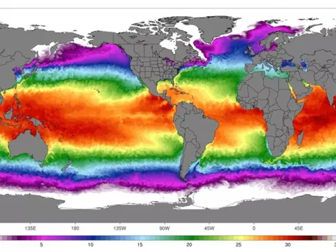 Dự báo mùa bão năm nay sẽ dữ dội do nhiệt độ nước biển toàn cầu cao kỷ lục