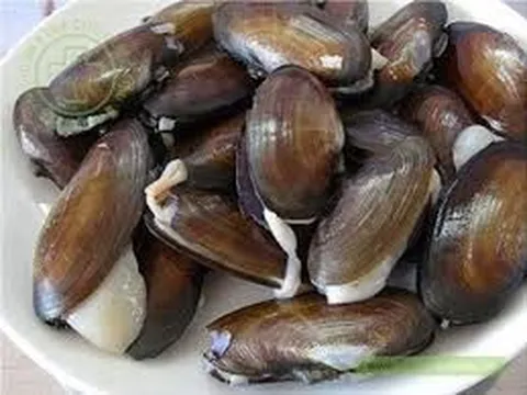 Malaysia: Nhiều ca ngộ độc thực phẩm do ăn trai