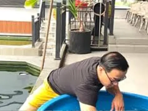 Vua cá Koi Thắng Ngô 'bế các em' giữa lúc vợ cũ Hà Thanh Xuân nắm tay 'người ấy'