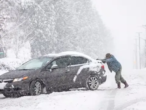 Canada: Bão tuyết trái mùa gây cản trở cuộc sống người dân