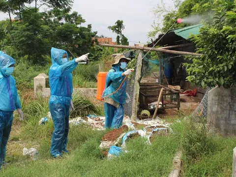 Việt Nam ghi nhận ca mắc cúm A (H9) đầu tiên, Bộ Y tế chỉ đạo khẩn