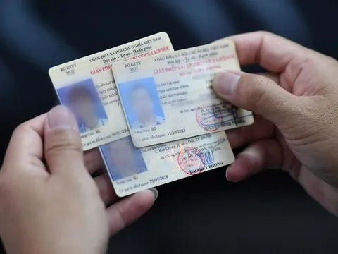 06 trường hợp thu hồi Giấy phép lái xe từ ngày 01/6/2024