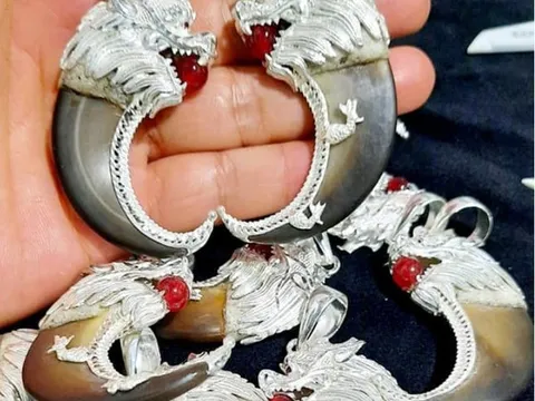 Đắk Lắk: Chủ tiệm trang sức nhận thêm bản án 2 năm tù vì buôn bán động vật hoang dã