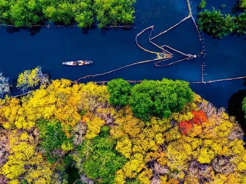 Một thành phố ở Việt Nam nằm trong top những điểm du lịch tiết kiệm nhất châu Á