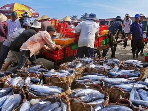 Mức phạt đối với hành vi khai thác thủy sản không có giấy phép