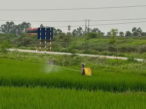 Về quê, thanh niên đạp xe ra đồng 'chữa lành' và cái kết