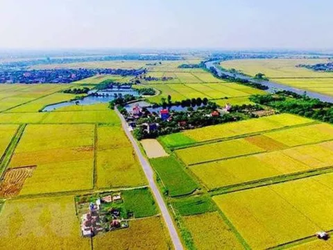 Đề xuất điều kiện xây dựng công trình trên đất trồng lúa phục vụ trực tiếp sản xuất nông nghiệp