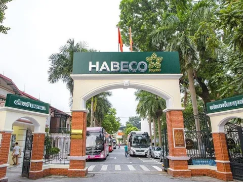 Habeco thiếu tiền mặt để nộp phạt hành vi vi phạm về thuế?