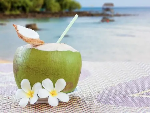 Những sai lầm tai hại khi uống nước dừa có thể bạn chưa biết