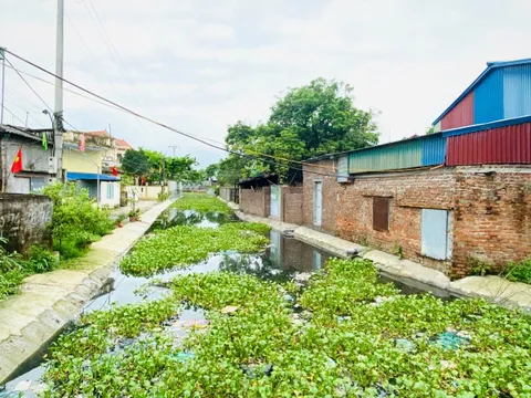 Xã Thái Phương, huyện Hưng Hà, tỉnh Thái Bình: Cần xử lí việc xây dựng trái phép trên đất nông nghiệp
