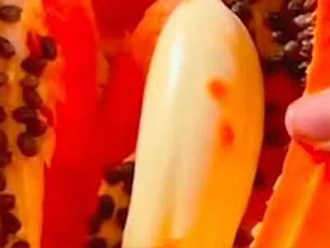 Bổ quả đu đủ gặp hiện tượng lạ, cộng đồng mạng tranh nhau vào giành