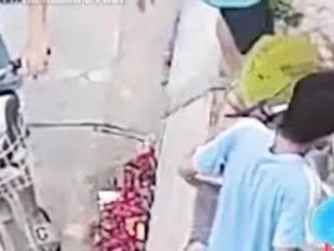Không thấy quả mít trên cây, cô gái check camera thì phát hiện thủ phạm