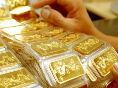 Hôm nay tiếp tục tổ chức đấu thầu vàng miếng SJC