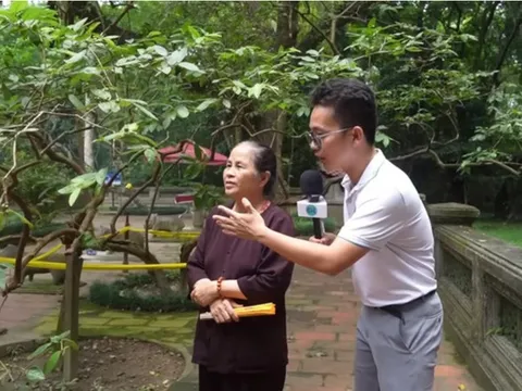 Giải mã bí ẩn cây ổi biết 'cười' khi bị cù lét ở Thanh Hoá
