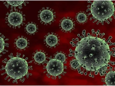 Mỹ ghi nhận thêm ca nhiễm cúm gia cầm H5N1 ở người