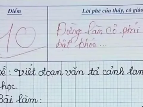 Bài văn tiểu học nhận 10 điểm khiến cô giáo phải bật khóc