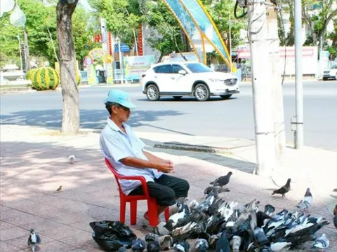 Người đàn ông Cần Thơ suốt 12 năm kiếm tiền nuôi đàn chim trời, coi như con ruột