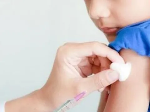 Mùa hè, viêm não Nhật Bản lại hoành hành