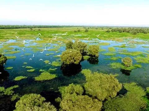 UNESCO công nhận Khu dự trữ sinh quyển đầu tiên tại Bỉ