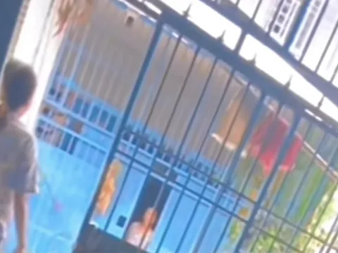 Camera hàng xóm soi thẳng vào nhà, làm gì cũng bị theo dõi, gia đình bức xúc lên tiếng cự cãi