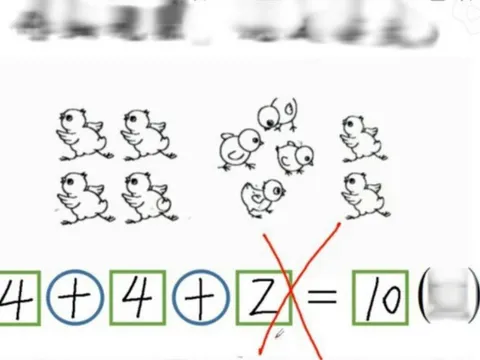 Bài toán tiểu học '4 + 4 + 2 = 10' bị chấm sai, giáo viên giải thích ra sao?