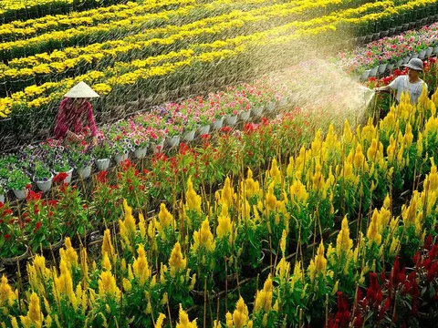 'Trốn thành phố' về miền Tây đi chơi đâu dịp lễ 2/9 này?