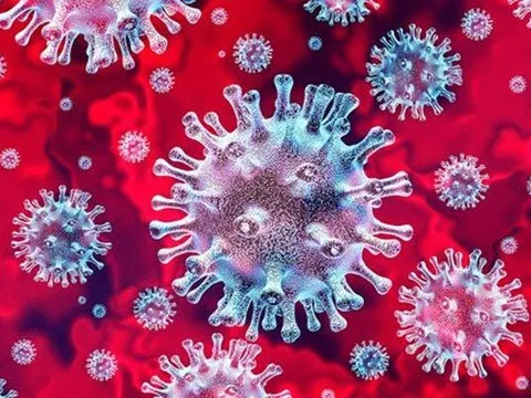 Hàn Quốc: Báo động nồng độ virus SARS-CoV-2 trong nước thải