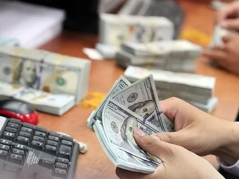 Tỷ giá USD hôm nay 4/9/2024: Cập nhật giá USD trong nước, quốc tế