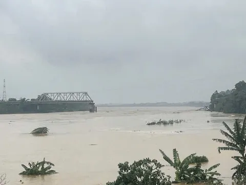 Phú Thọ: Cầu Phong Châu bắc qua sông Hồng bất ngờ đổ sập