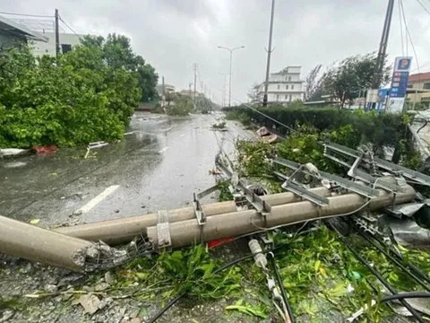Khắc phục lưới điện không hiệu quả, Giám đốc Điện lực Hạ Long bị đình chỉ