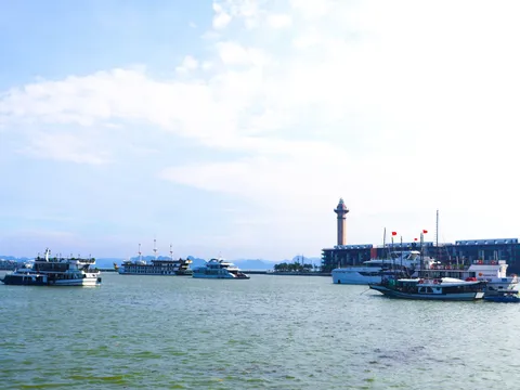 Từ 13/9, Vịnh Hạ Long hoạt động bình thường trở lại