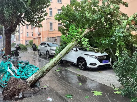 Trung Quốc: Dự kiến mỗi tuần hứng một cơn bão từ nay đến tháng 10