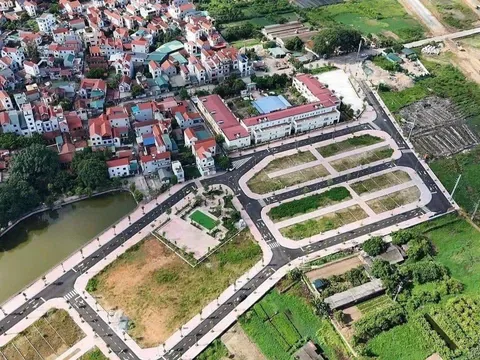 Hà Nội sẽ công khai những người bỏ cọc đấu giá đất