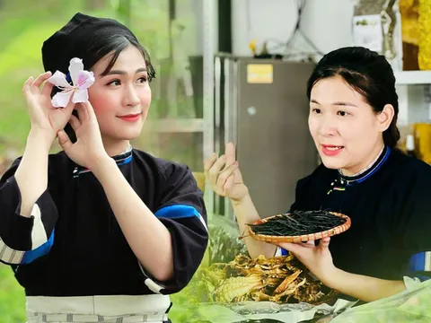 9X Tuyên Quang từ bỏ công việc mức lương cao về quê 'phục vụ' bà con