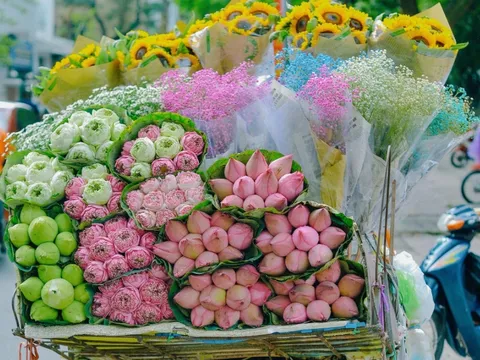 Dự báo thời tiết ngày 28/9/2024: Hà Nội ngày nắng, gió nhẹ